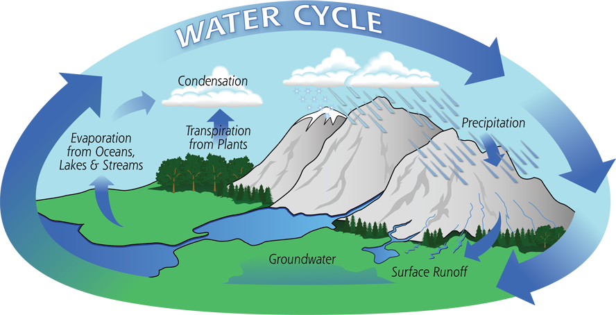Annual watercycle
