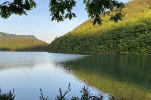 Did You Know: Harmful Algal Blooms in Freshwater Aquatic Environments