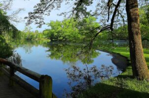 Virginia Water Central News Grouper Monthly Status Report for April