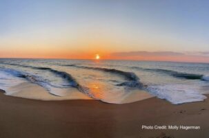 2025 Virginia Water Monitoring Council (VWMC) Conference: September 30