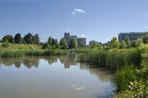 Virginia Water Central News Grouper Monthly Status Report for June