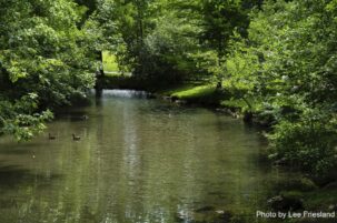 VA Water Status Report for Aug 2025, Plus a Look at Flooding and Drought Nationally